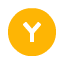Y button