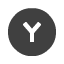 Y button